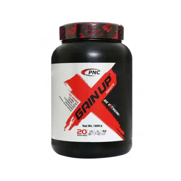 گین آپ پی ان سی